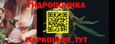 молекула духа Кандалакша