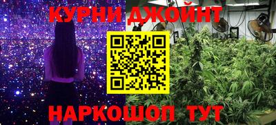 круглые Камышлов