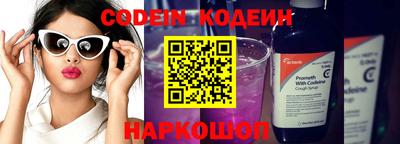 jwh Кингисепп