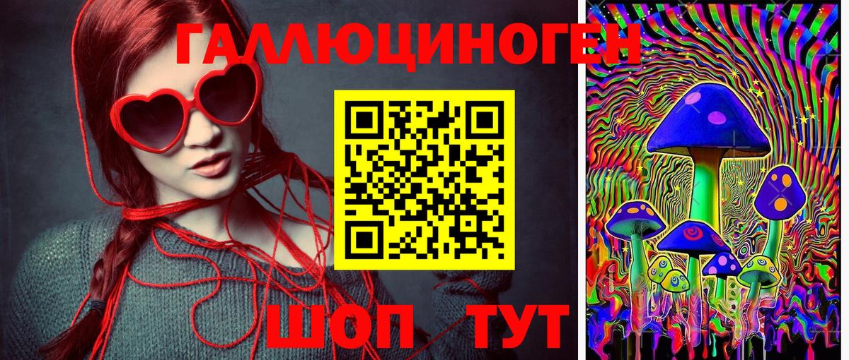 Галлюциногенные грибы Psilocybine cubensis Кубинка
