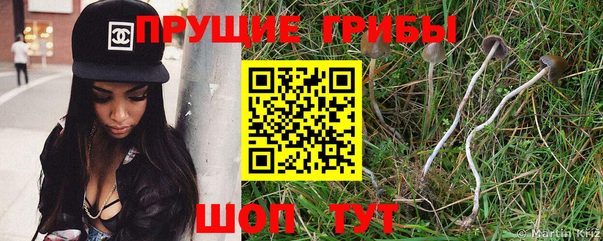Псилоцибиновые грибы GOLDEN TEACHER  Псилоцибиновые грибы MAGIC MUSHROOMS  Кубинка  Вход с VPN 